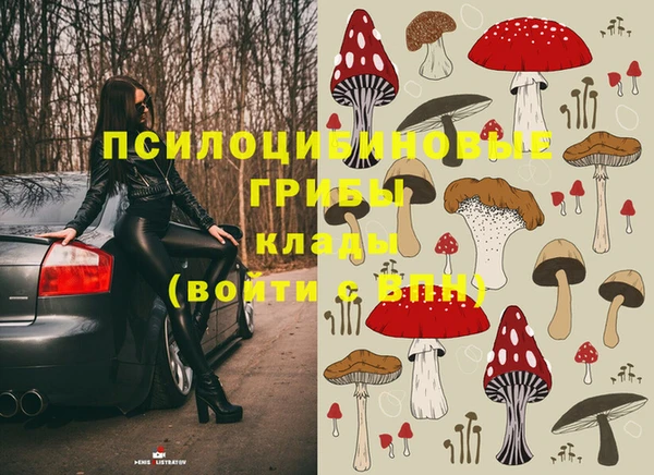марки nbome Вяземский