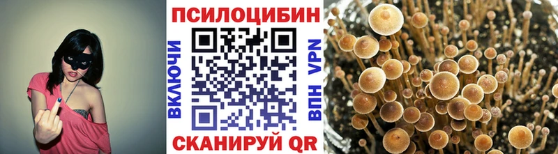 Купить закладки  Саров  Галлюциногенные грибы Psilocybine cubensis 